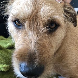 Meet your Posher, Maksim